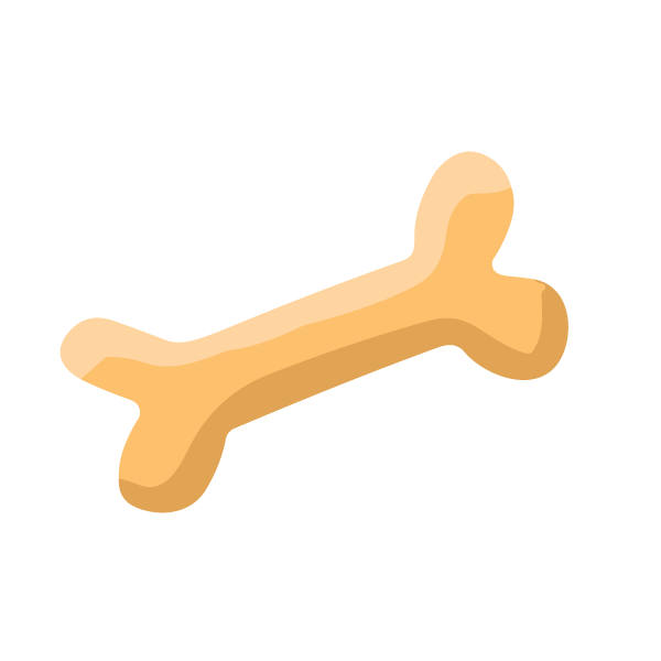 bone illustration