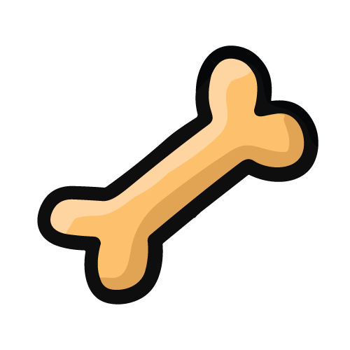 bone illustration
